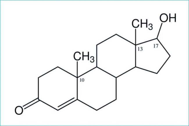Testosterone e capelli sono collegati